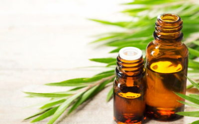 Does Tea Tree oil treat fungal nails?